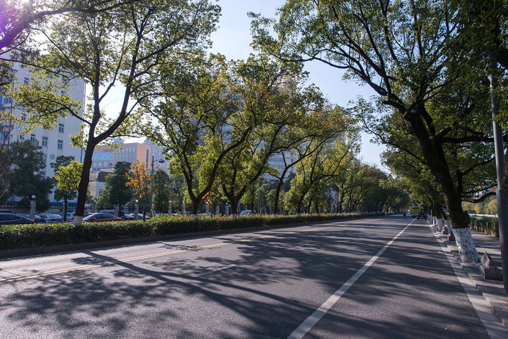 寧波市望京路改造工程